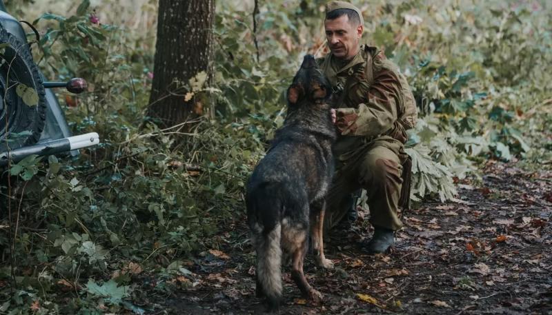 НТВ снимает продолжение военной драмы «Солдат по кличке Рекс»
